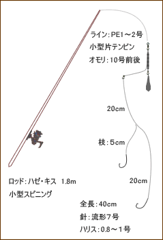 釣船 中金 釣物と仕掛け